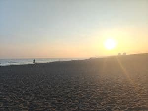 Shonan