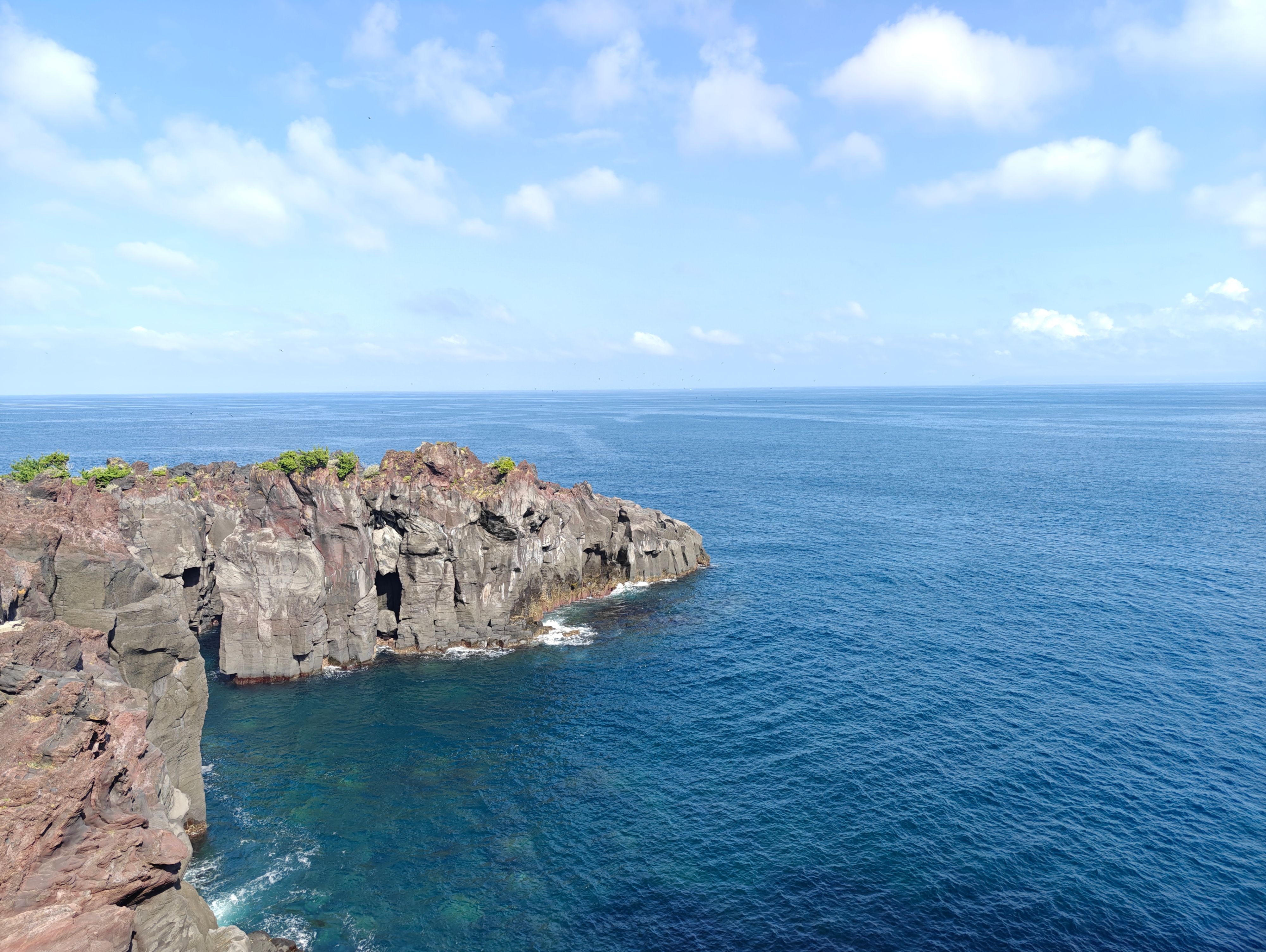 海岸