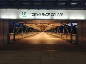 TOKYO　RACE COURSE